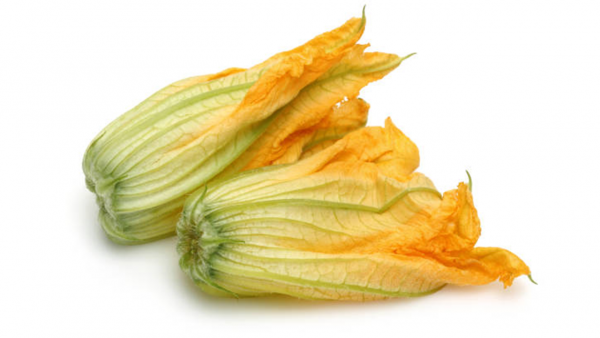fuorizucca1